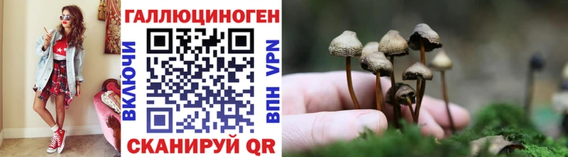 Галлюциногенные грибы мицелий ОМГ ОМГ вход Барыш